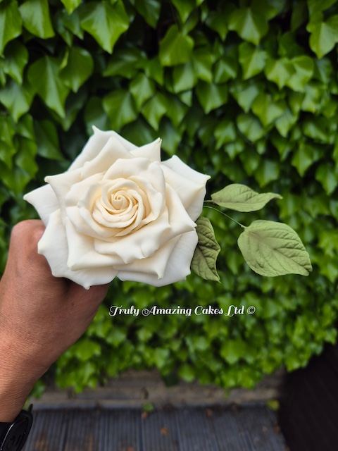 Slideshowrose